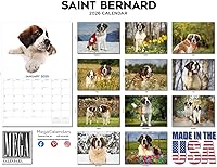 Vista 877 de Razas de Perros 2017