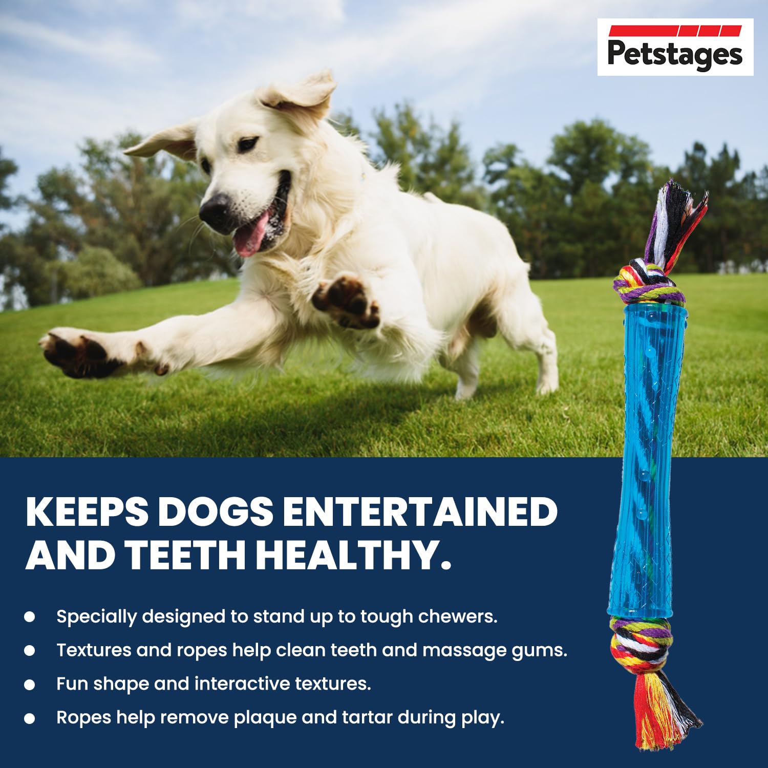 Outward Hound Orka Stick Dog Chew Toy – Durable TPE Rubber Chew Toy for Dogs, Easy to Carry & Fetch, Helps Reduce Soft Tartar, Supports Dental Health, Royal Blue Dog Toy – 30 cm 1