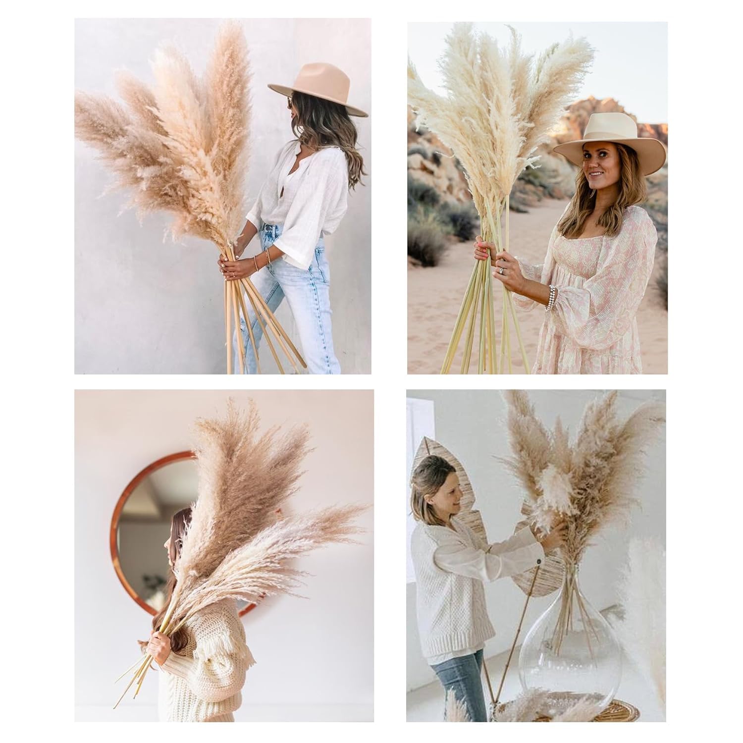 XTORE Dried 4 Pcs Pampas Grass for Home Decoration (Pack of 4 Sticks, Off-White) 4