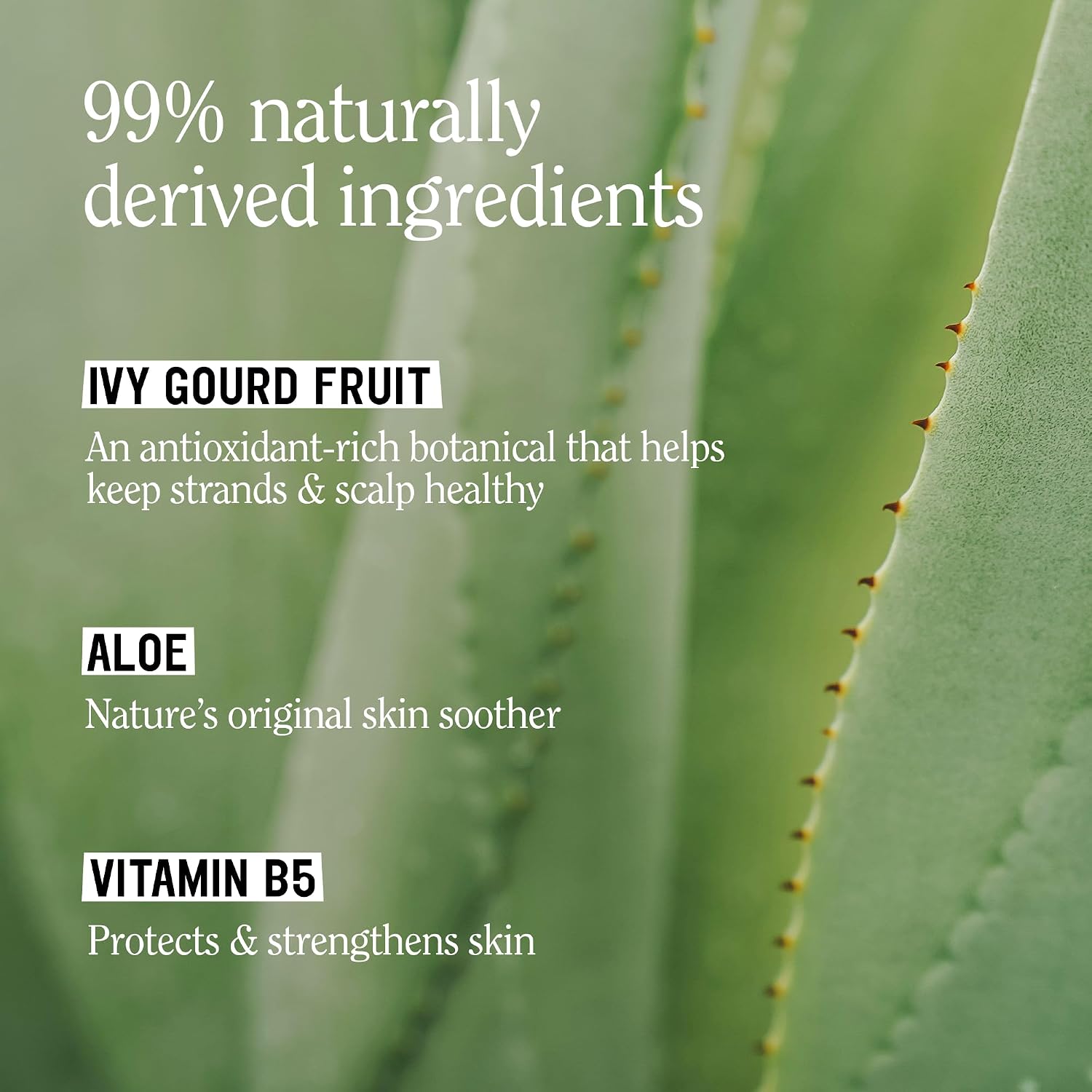 California Naturals Kids 2-in-1 Shampoo and Body Wash, Foaming Hair and Body Wash with Aloe Vera, Vitamin B5 and Neem Tree Extract, Sulfate Free, Paraben Free, All Hair and Skin Types, 12 fl oz image 5