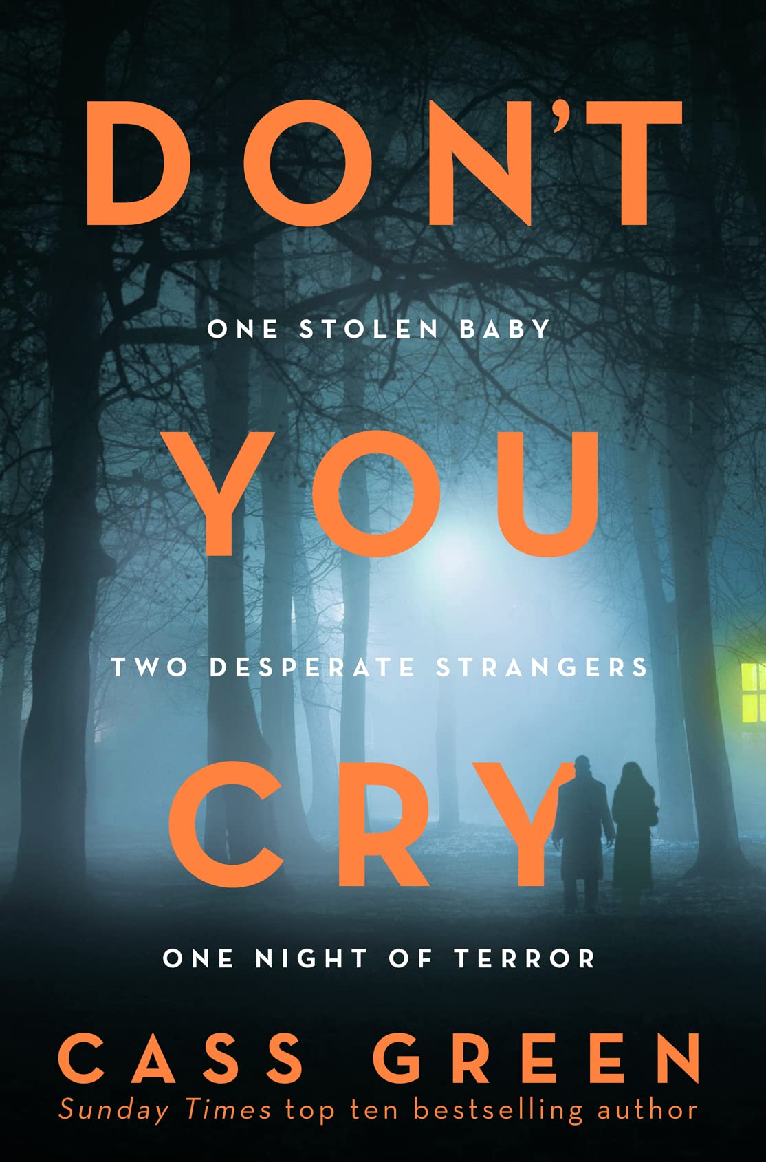 Dont You Cry 9780008287214 Green, Cass Books