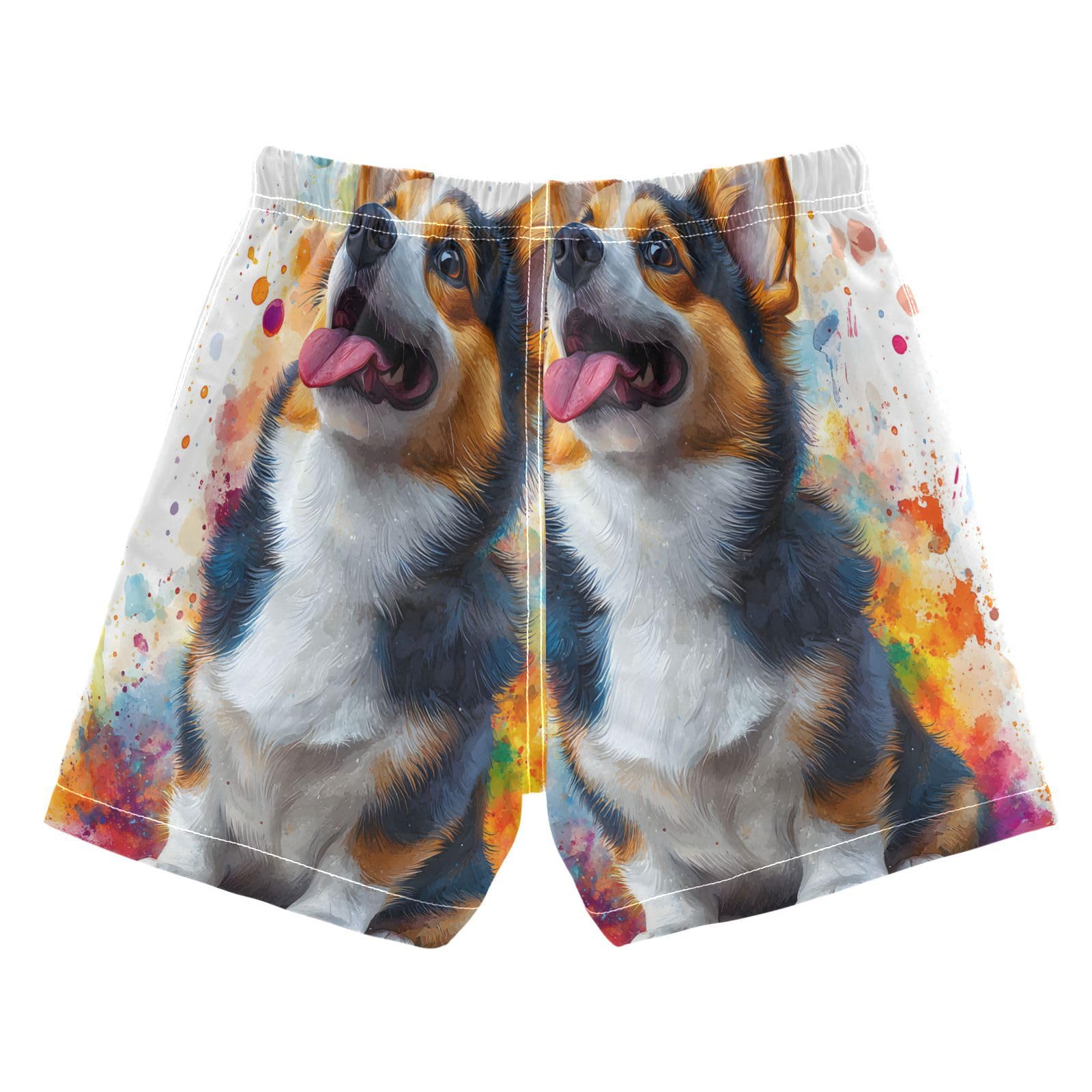Boys Swim Trunks Toddler Swim Shorts Little Boys Swimwear Watercolor Corgi Dog Bathing Suit Swimsuit Multi