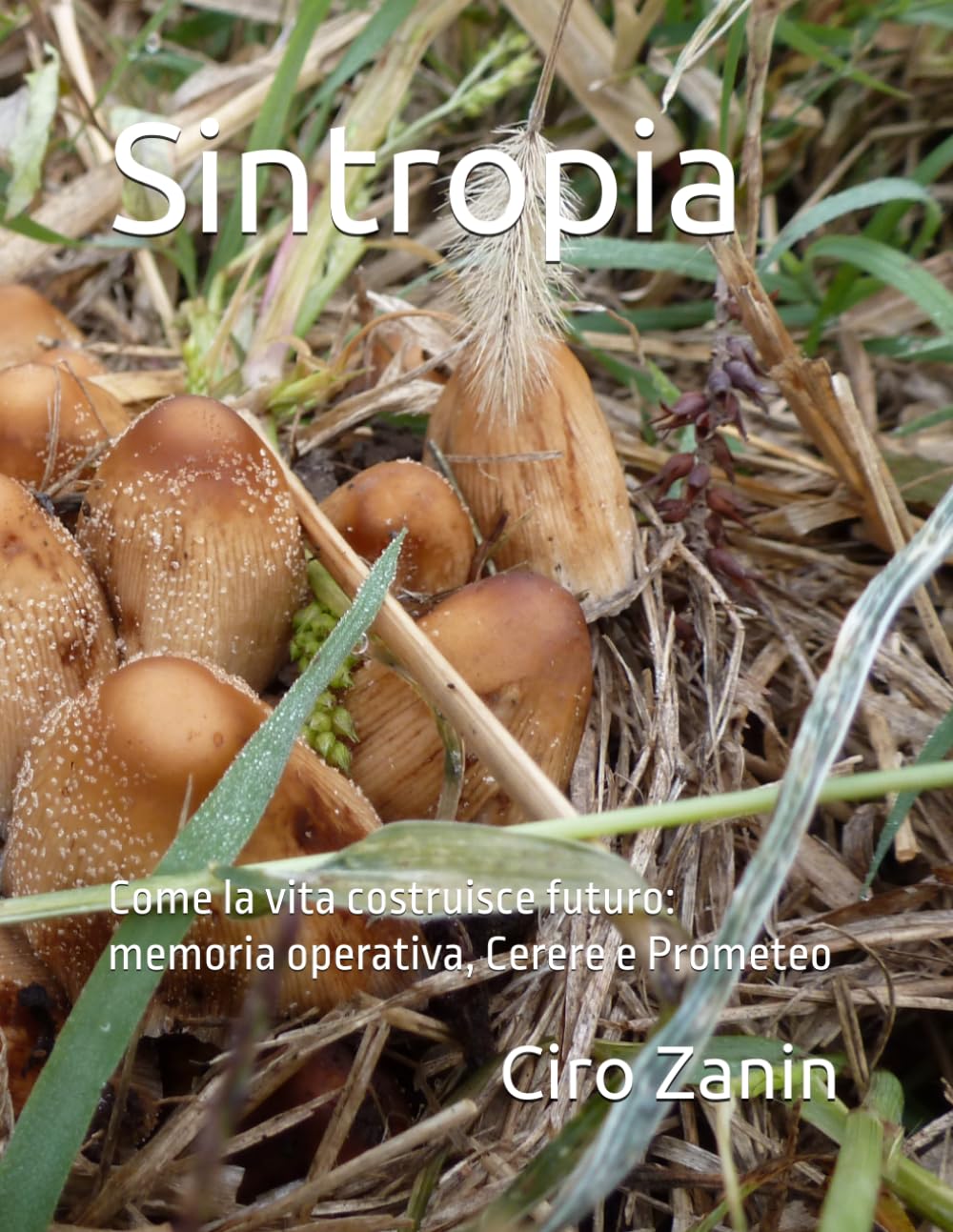 Sintropia: Come la vita costruisce futuro: memoria operativa, Cerere e Prometeo (Il Capitale Vivente)