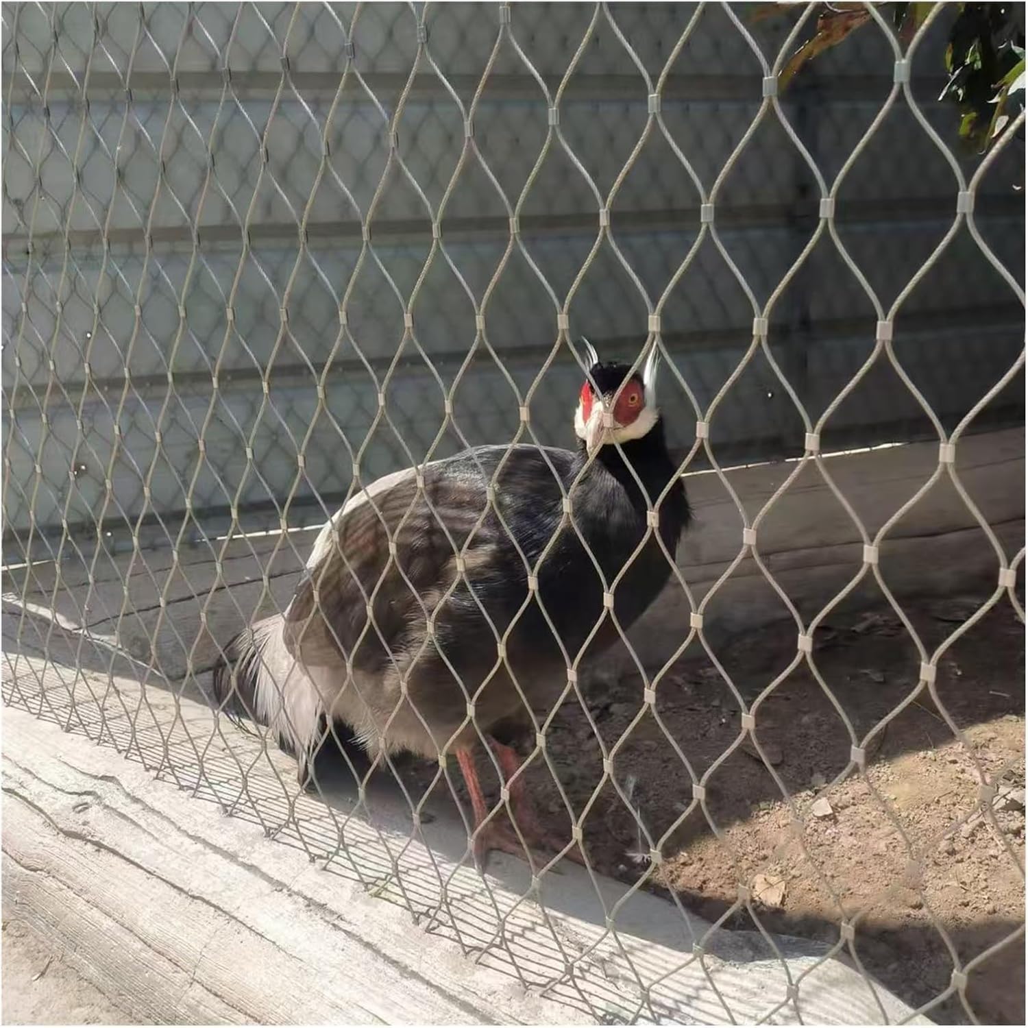 短編集＋レアマンガ] 有名漫画家34冊セット コミック 初版多数 七月堂