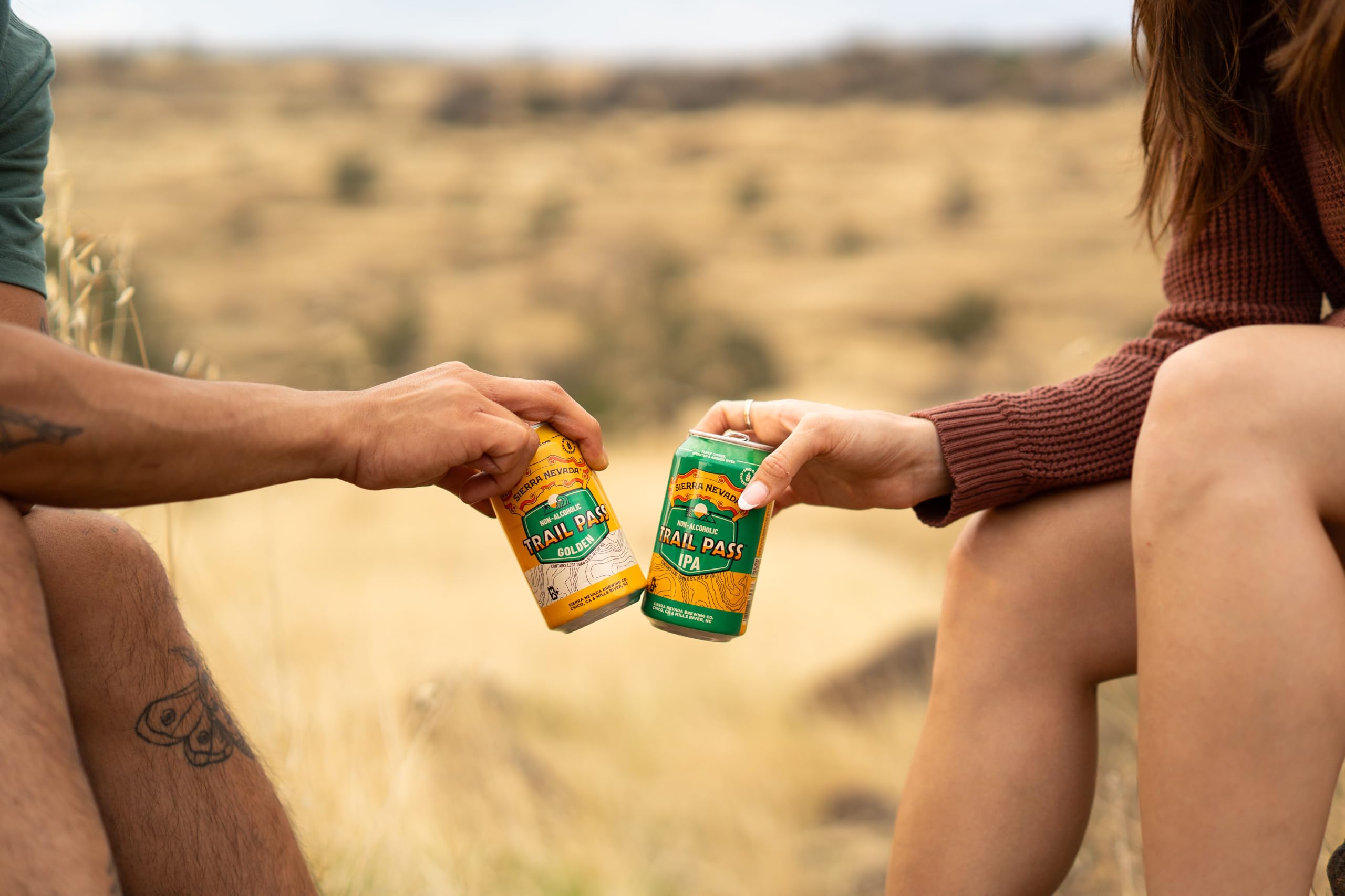 Sierra Nevada Trail Pass IPA alkoholfrei - 10 Dosen alkoholfreies Craft Beer - 10 x Trail Pass IPA alkoholfrei, 355ml Dose, Hopfig & Erfrischend, Bier aus den USA, inkl. 2,50 € Pfand