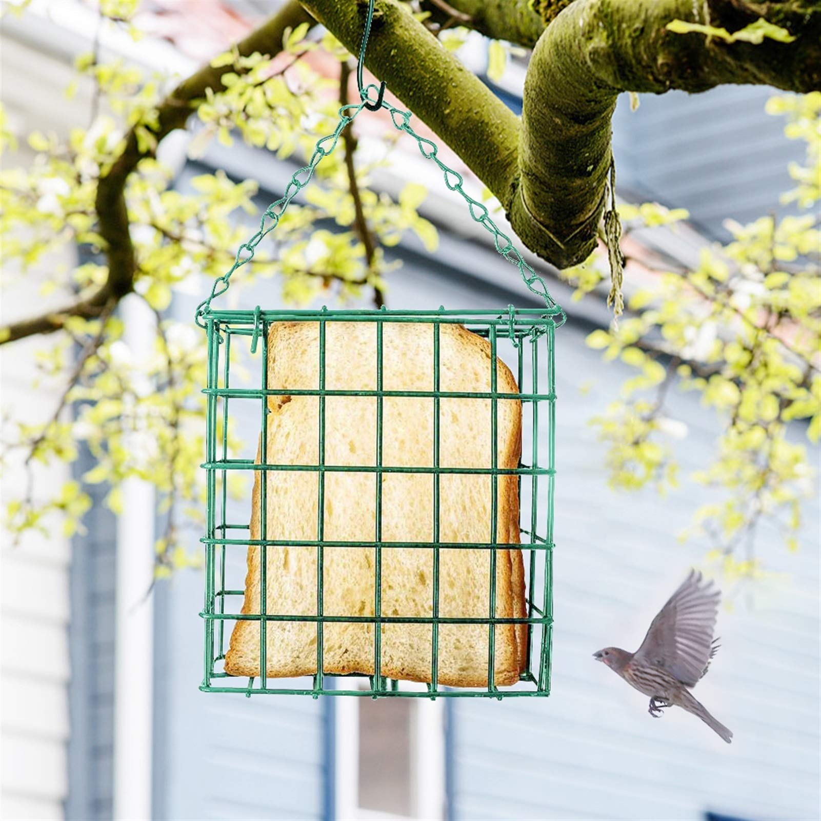 Comedero para Pájaros Dispensador de Alimentos de Aves de Aves de Aves Cuadrado Alimentador de pájaros Colgantes Alimentador de Sebum Comedero para Aves
