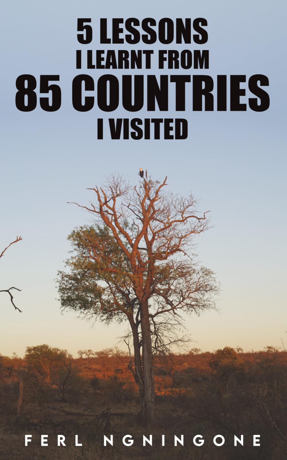 5 Lessons I learnt from 85 countries I visited
