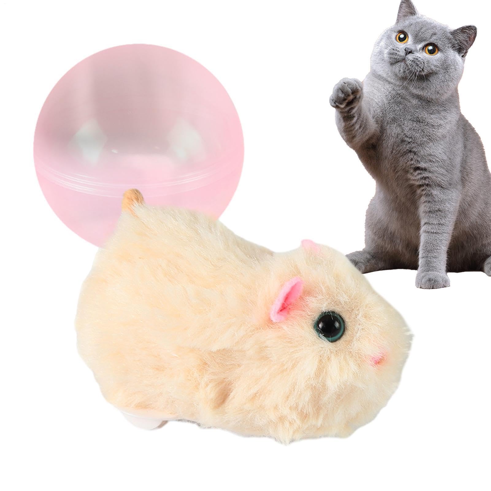 Juguete para gatos con ruedas recargable y bola rodante interactiva para gatitos