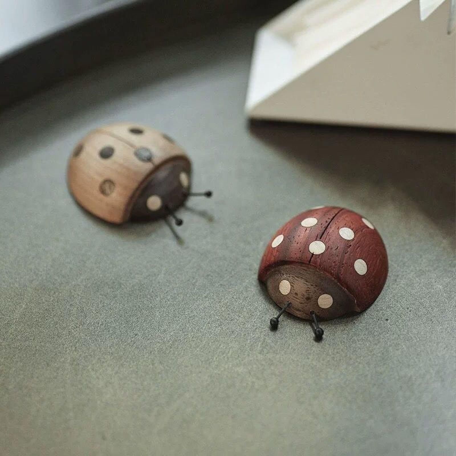 Lindos imanes decorativos paquete de 2 pares de madera maciza caricatura escarabajo siete estrellas mariquita imán refrigerador micro paisaje bonsái