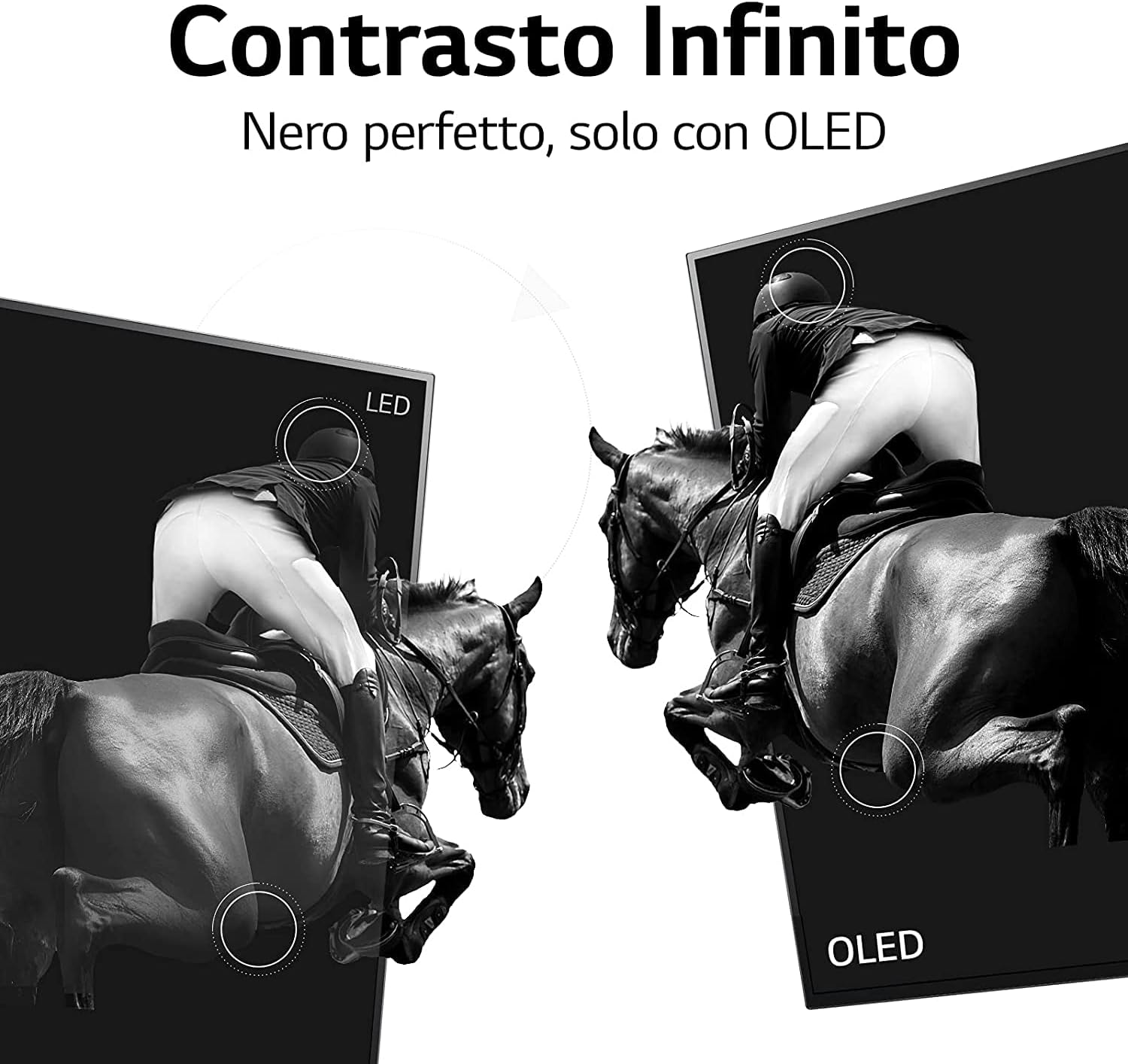 LG OLED65A16LA Smart TV 4K 65, TV OLED Serie A1 2021, Processore α7 Gen4, Dolby Vision IQ, Wi-Fi, webOS 6.0, FILMMAKER MODE, Game Optimizer, Google Assistant e Alexa Integrati, Telecomando Puntatore