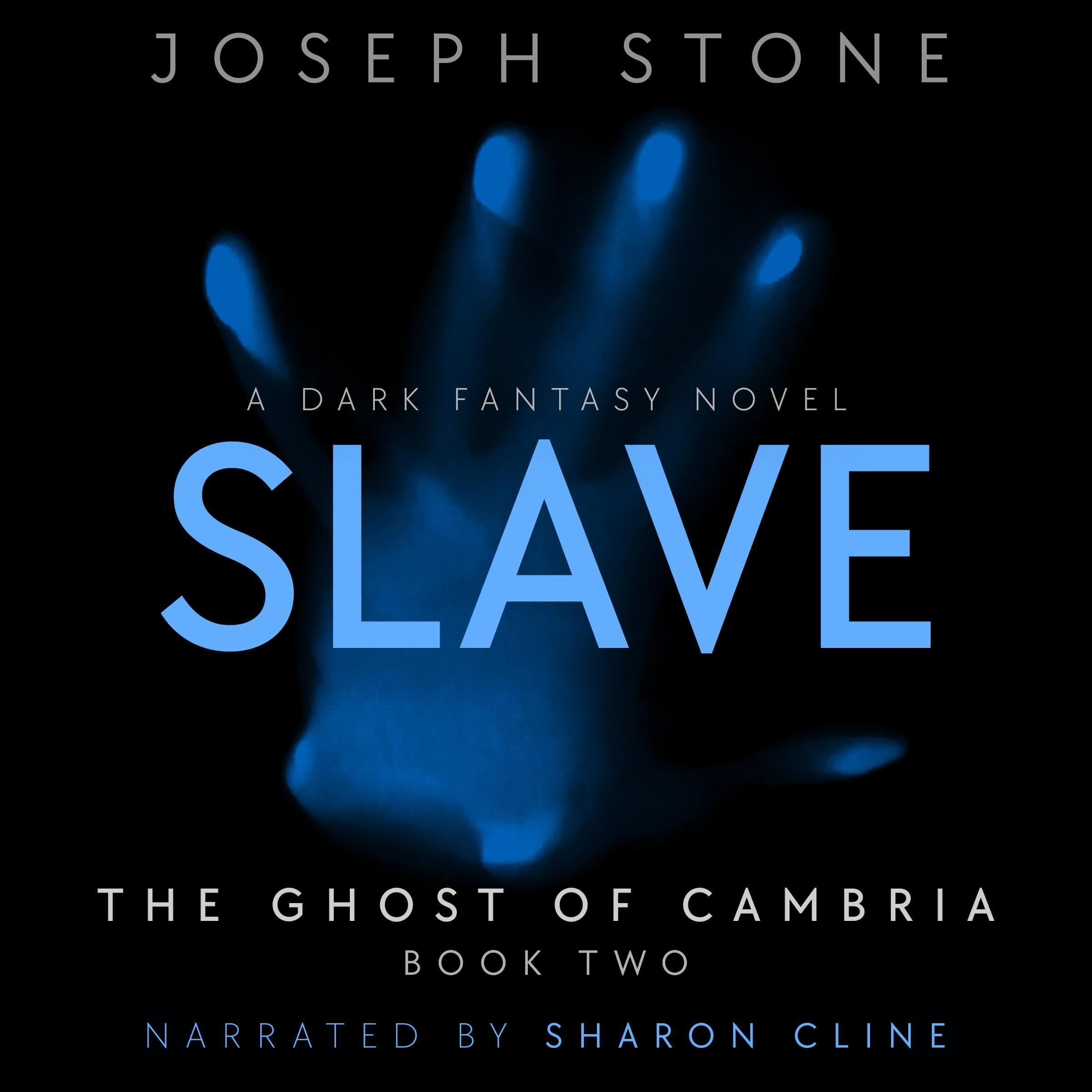 Cover art for Slave