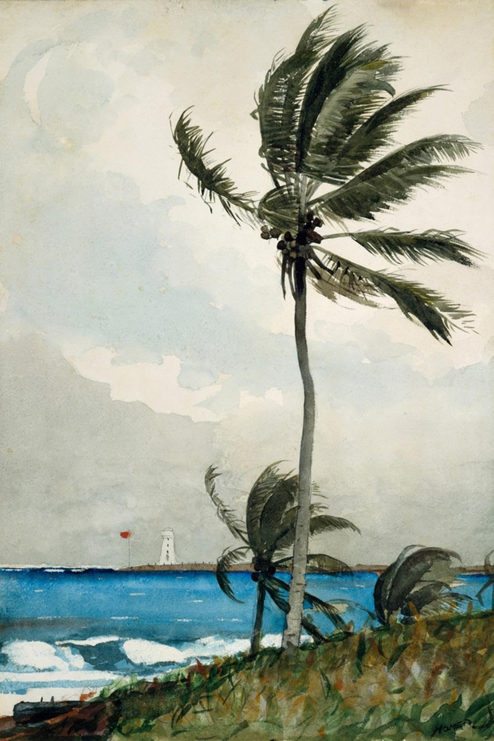 ART.COM Wall Giclee Print Palm Tree, Nassau, 1898 by Winslow Homer, 16" x 24"