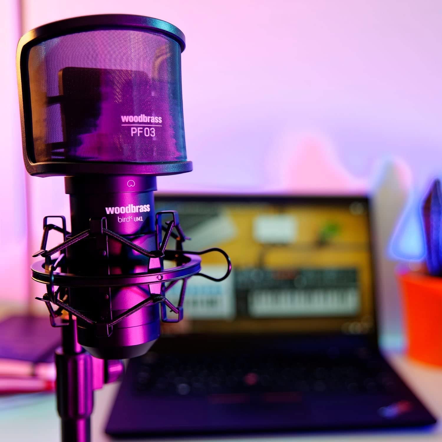 WOODBRASS Bird UM1 Pack Podcast Noir - Microphone USB Cardioïde à Condensateur PC et Mac pour Broadcast et Enregistrement Streaming, Podcasting, Conférence, Home Studio Mao, Voix Off