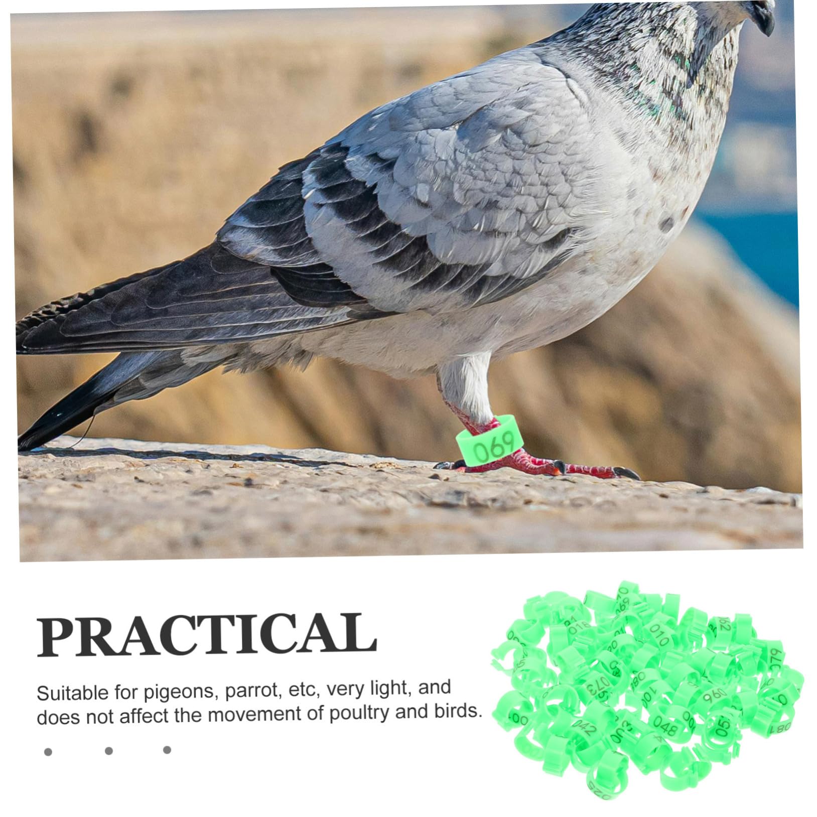 BESPORTBLE 500piezas Anillos De Identificación para Pájaro Bandas De para Palomas Anillos De Legado para Aves Marcadores De Identificación para Cría De Palomas