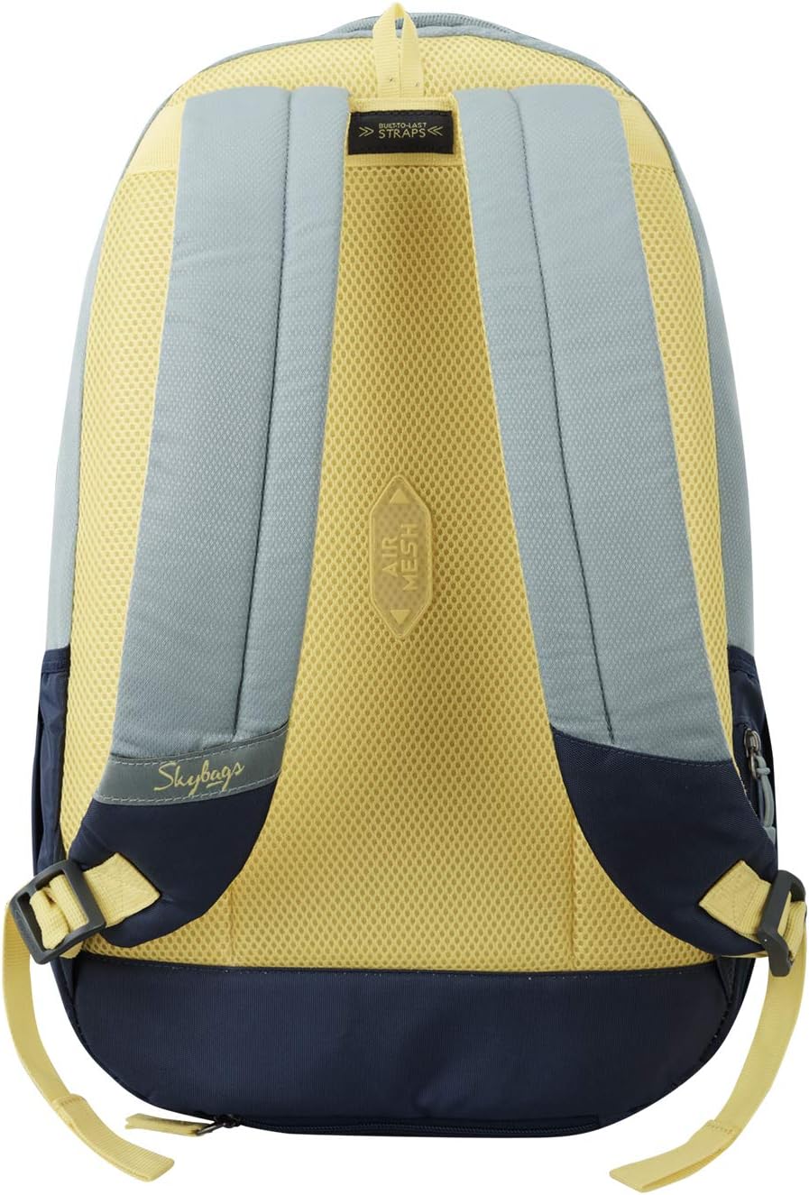 Skybags Campus Grey Logo Print College Laptop Backpack 30L, Grey, 15", Laptop Bags & Cases