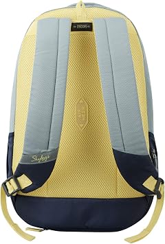 Skybags Campus Grey Logo Print College Laptop Backpack 30L, Grey, 15, Laptop Bags & Cases