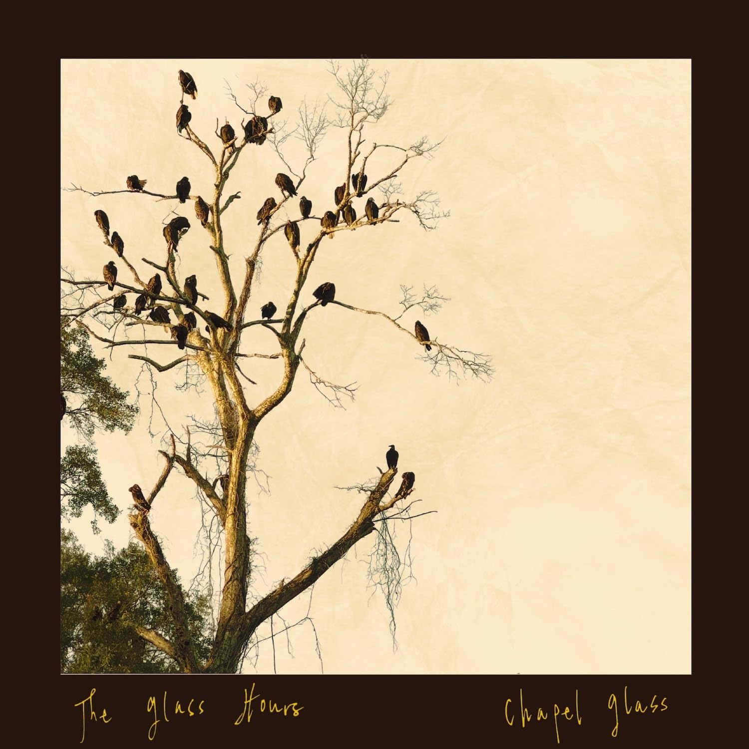 Chapel Glass [Vinyl LP] [VINYL]