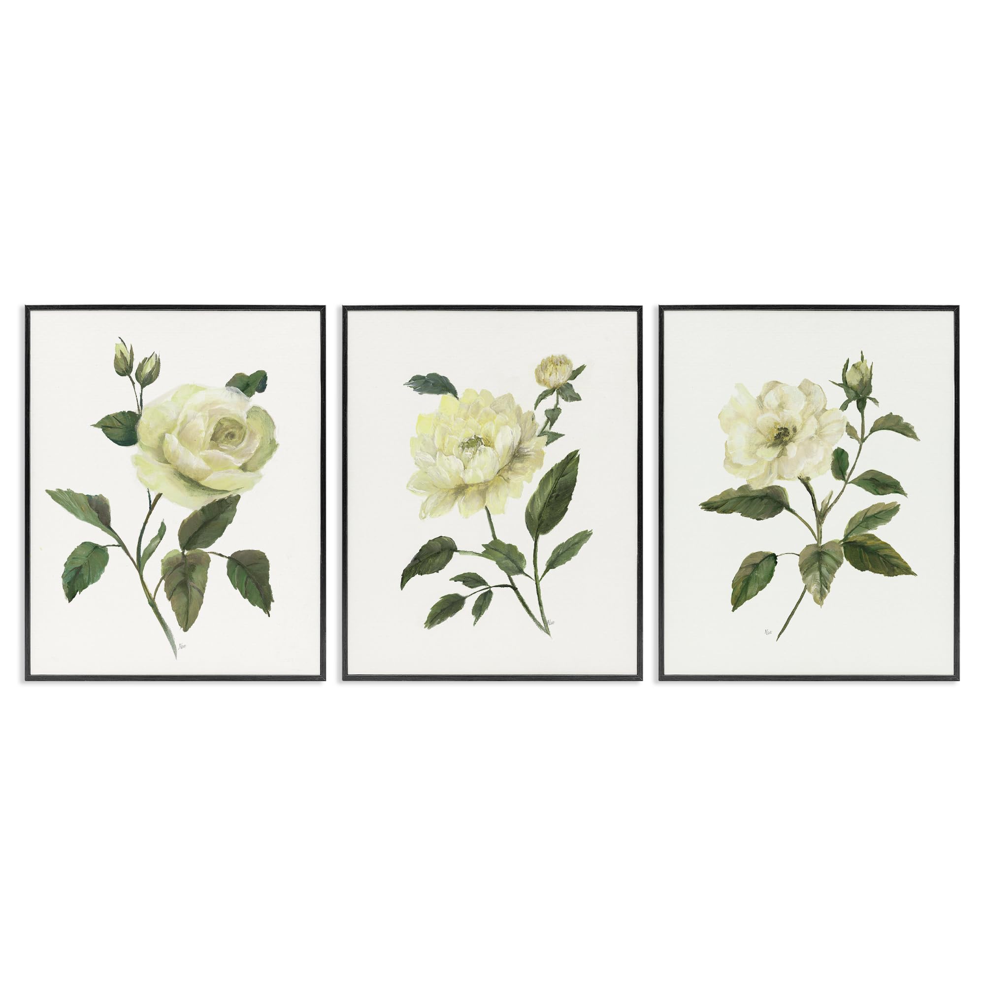 Stupell Industries 'Ivory Budding Garden Flowers', 3pc Framed Giclee Art Set 3, Black, 16 x 20 Inches, Easy to Hang and Sturdy, Made in USA, by Nan