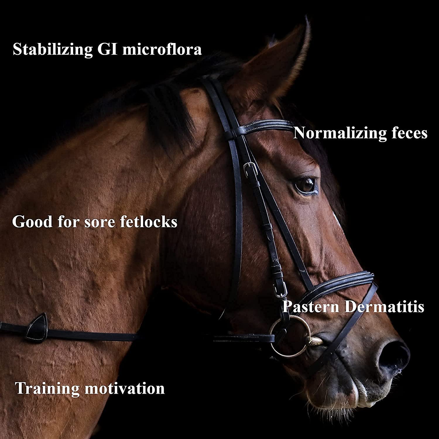 para caballos Polvo para mejorar la salud intestinal, digestión y dolor de fetlocks/dermatitis pastern. fórmula de ciencia noruega con sales naturales de ácidos orgánicos.
