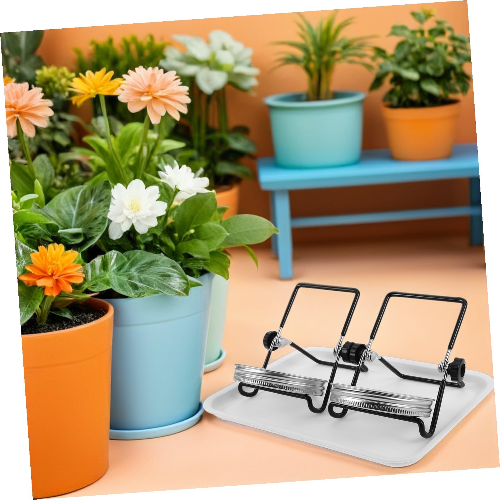 BESTonZON 2 Sätze Edelstahl Sprout Deckel für Mason Gläser Keimschale und Sieb mit Tropfschale Sprout Kit für Sonnenblumen Brokkoli und Bohnen Einfach zu Reinigen und Tropffrei für