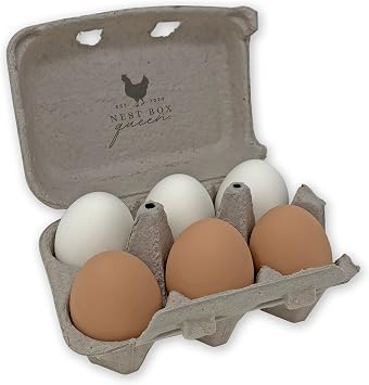 Nest Box Queen Ceramic Chicken Nest Eggs for Nest Box Training - 6 Pack, Assorted Brown & White