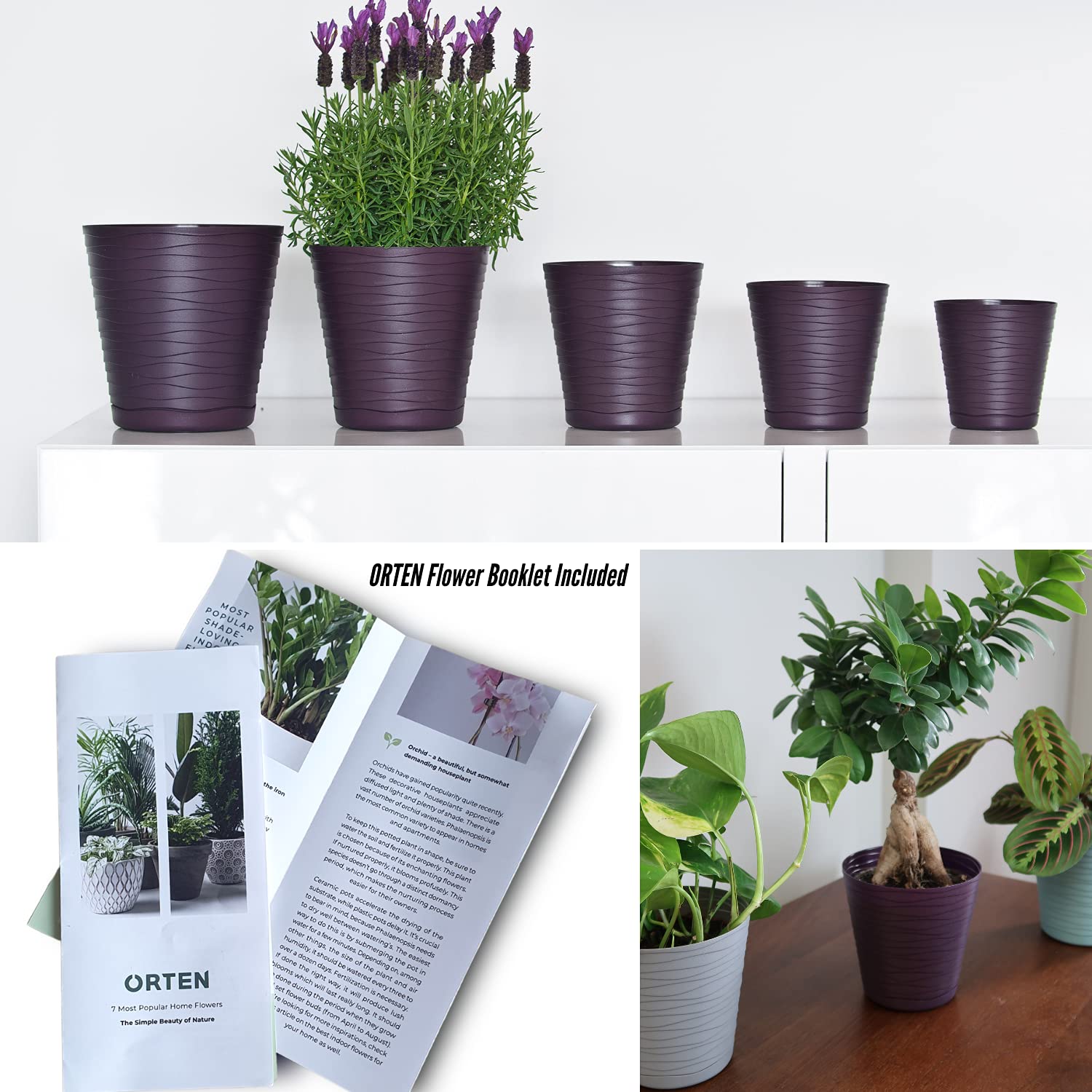 ORTEN Vaso Da Fiori In Plastica Con Sottovaso, Set Da 3 (14 Cm, Colore Ecrù), Design Moderno Opaco, Per Piante Grasse, Orchidee E Erbe Aromatiche - 2