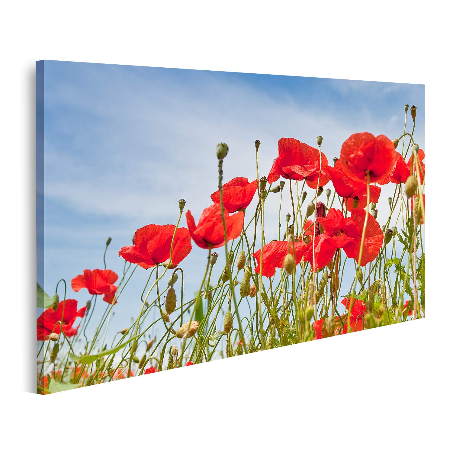 Tableau Toile Champ De Coquelicots Coucher De Soleil - 100x57 Cm, Impression Haute Qualité - Décoration Murale Salon Chambre - 5