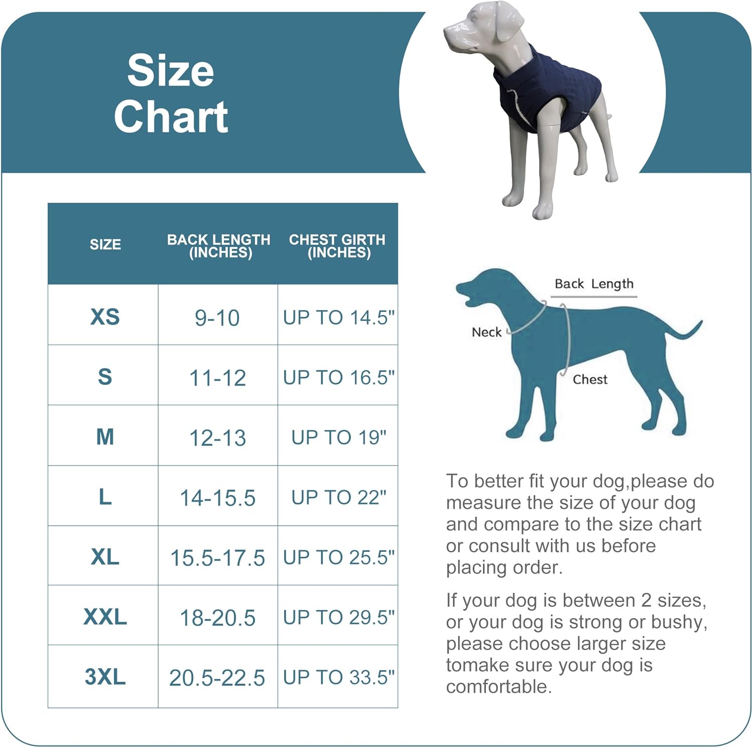 Kutyavesta részletei és zárása