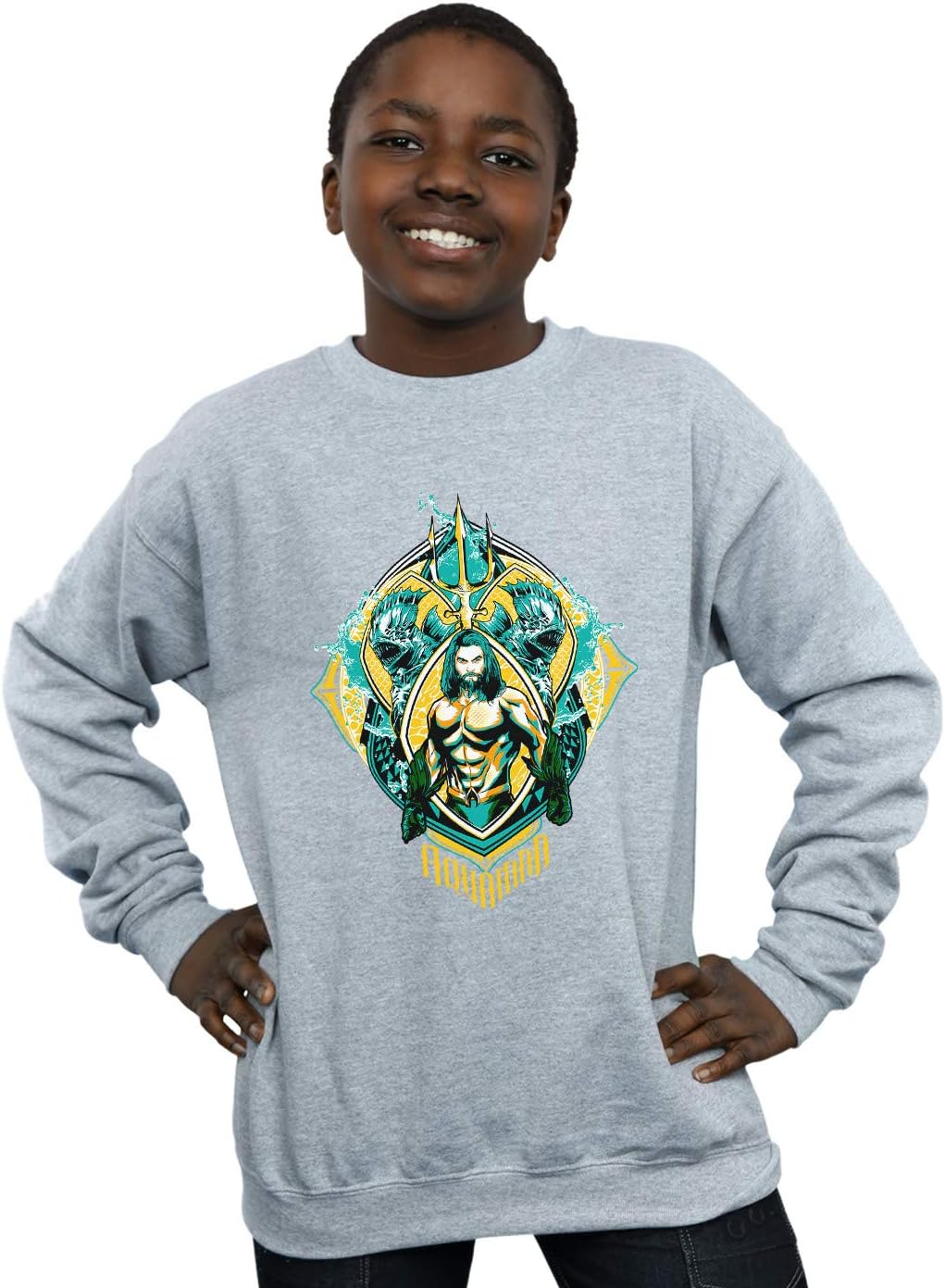 DC Comics Boys Aquaman The Trench Crest Sweatshirt Sport Grey 5-6 Years