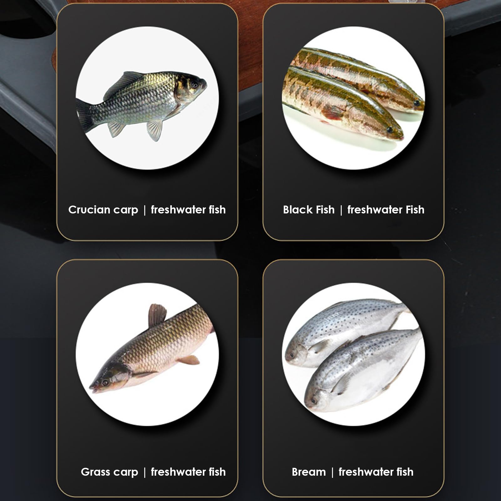 Escamas de pescado, acero inoxidable, ScarperRemover 3000 mAh