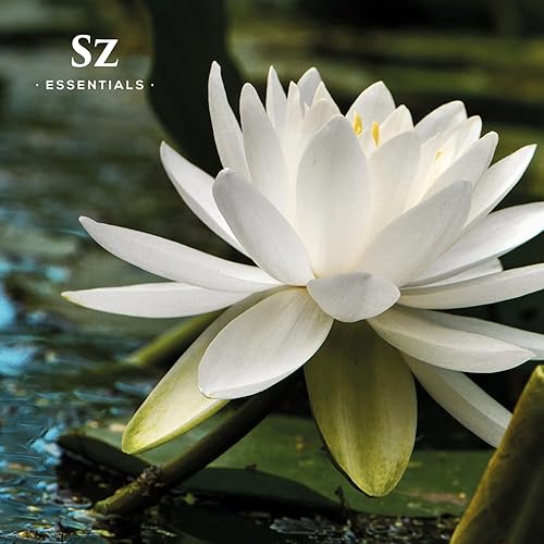 Miniatura 9 de Loto blanco 100% puro, aceite natural esencial - Extraído de Nymphaea Lotus - Aroma rico y dulce, con matices florales exóticos - Grado terapéutico