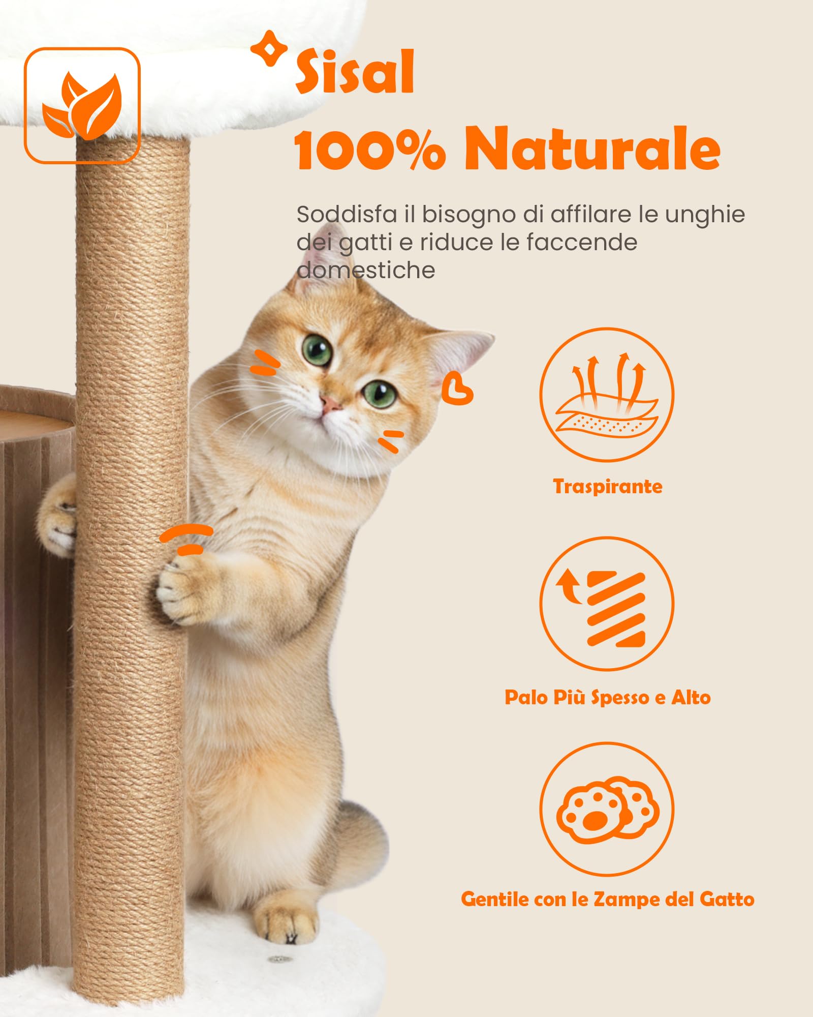 Di lusso Tiragraffi per gatti – Albero di gatto con casetta per gatti, tavola in sisal, letto rimovibile e palla da gioco |Albero da arrampicata (Beige, Tiragraffi per Gatti)