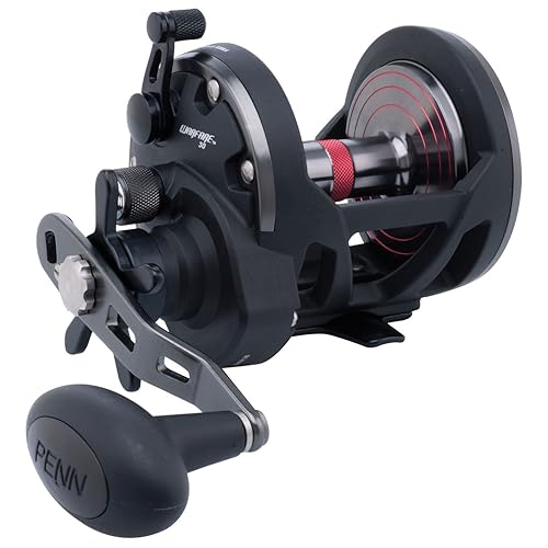 Penn Warfare II Star Drag Conventional Fishing Reel