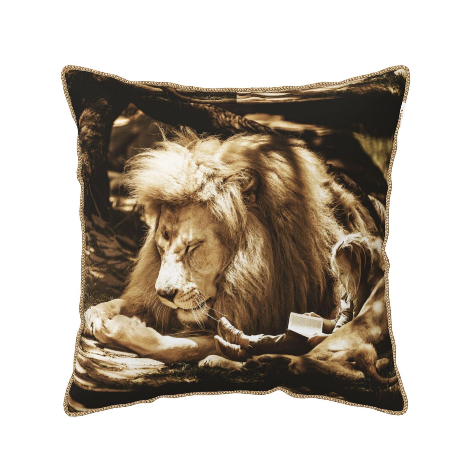 Housse de coussin lion en velours pour chambre de fille rose ou pastel