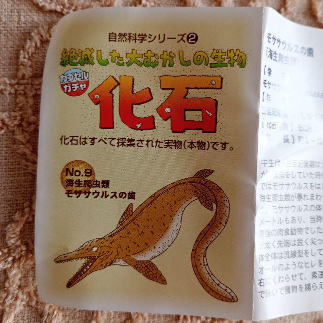 Amazon | 本物の化石自然科学シリーズ2絶滅した大むかしの生物 
