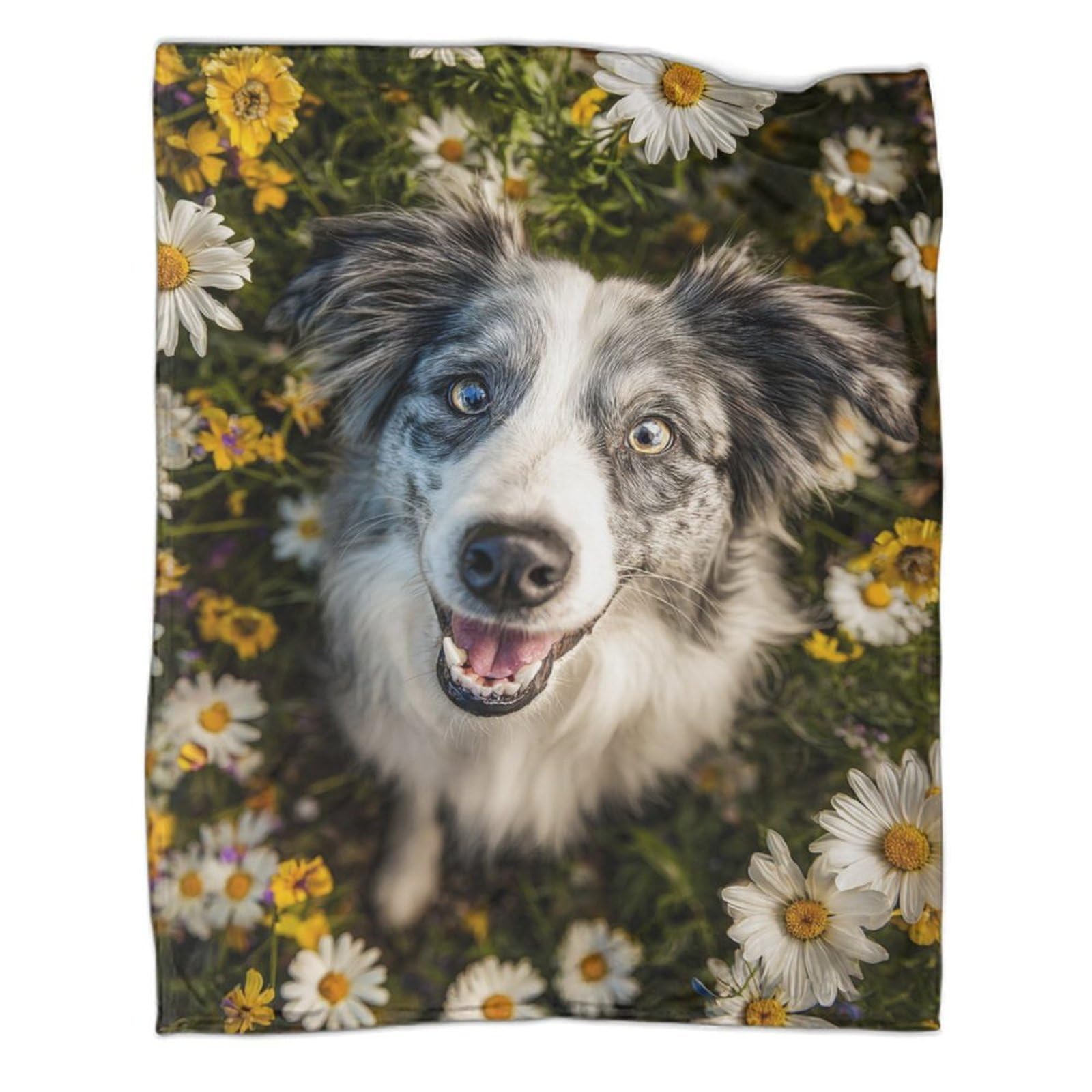 Couverture Chien Border Collie : Cadeau Idéal Plaid Flanelle Doux 150x200