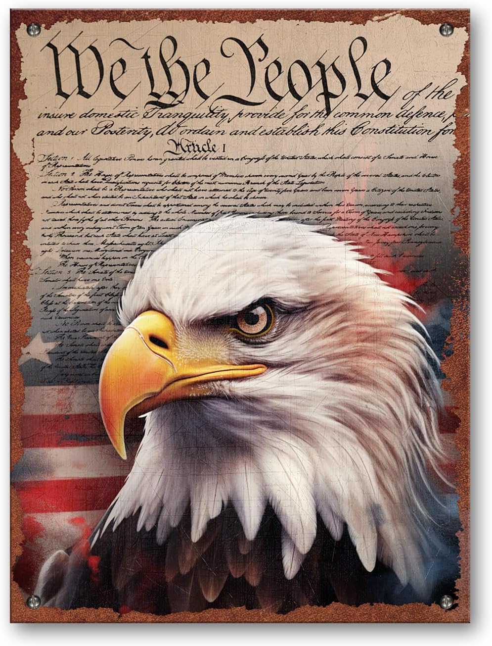 We The People Patriotic American Eagle Tin Metal Sign, Memorial Day Military Veterans US Decor Outdoor Indoor Wall Art Plaque Accessories Vintage Fourth 4th of July Independence Day (01)