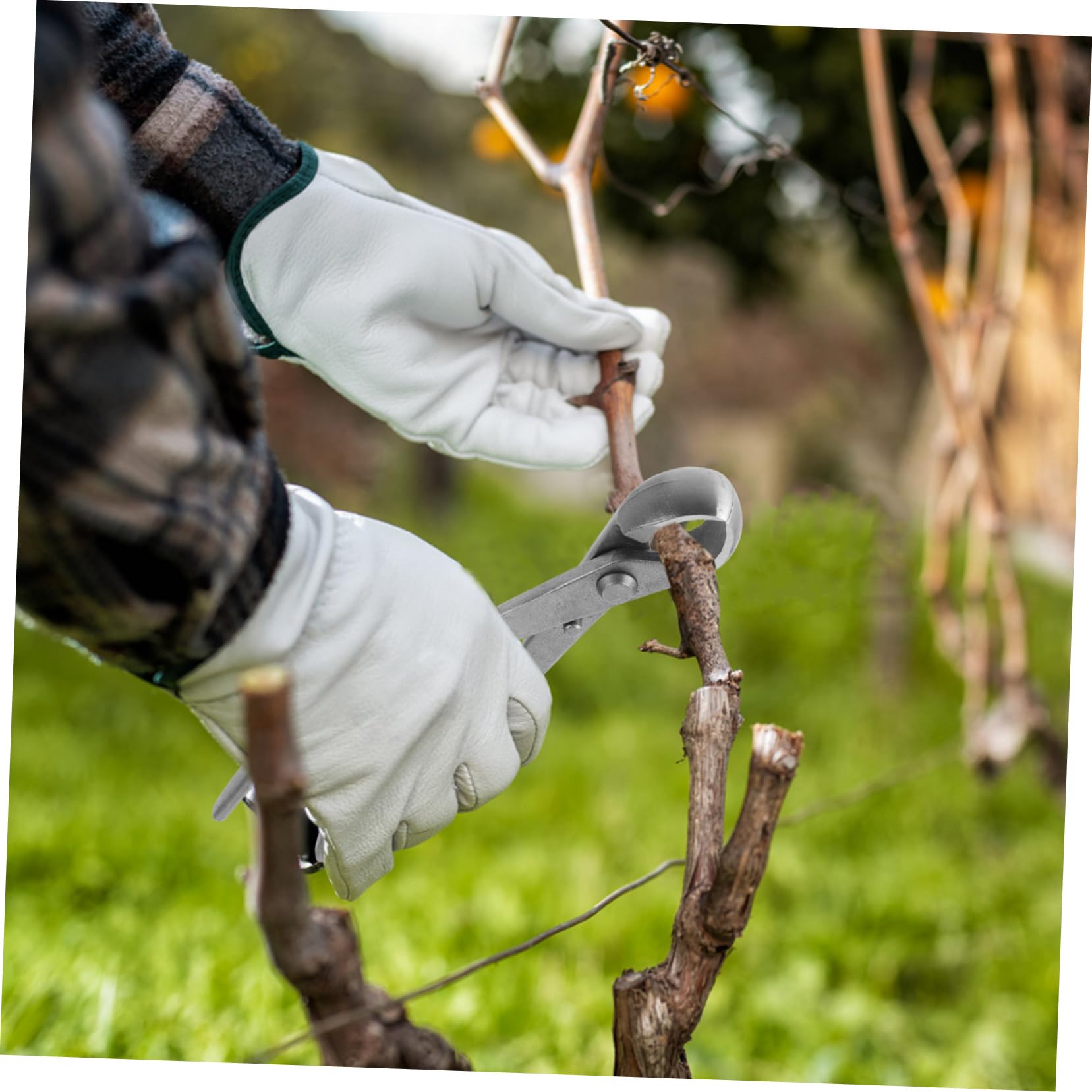 ibasenice Cesoie per Potatura Bonsai Ergonomiche Carbonio Strumenti Multifunzionali per Giardinaggio e Modellatura Piante per Potatura e Rifinitura Dettagliata