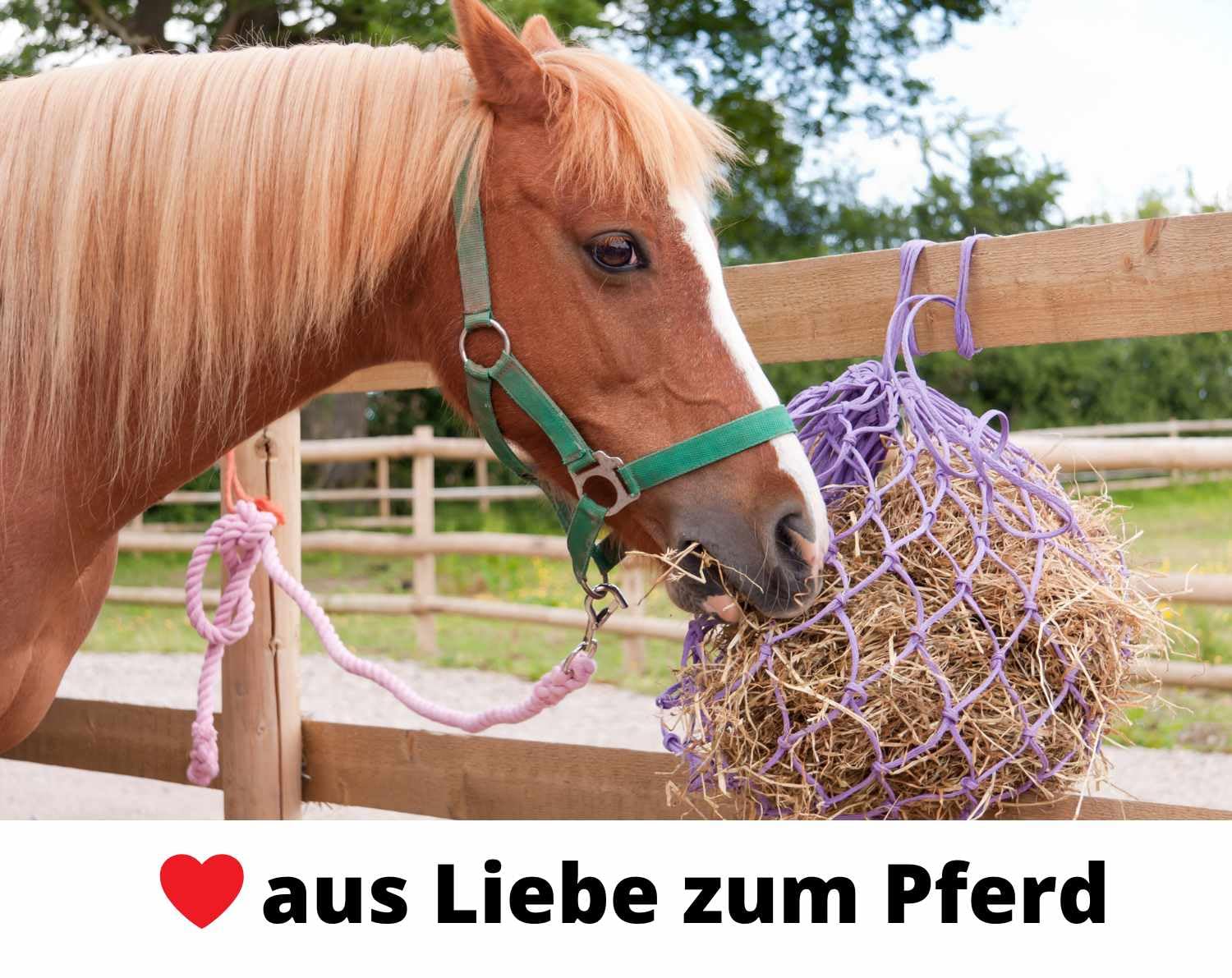 HorseGuard Heutasche Heusack - Heunetz - Futtersack Futterbeutel Futtersack mit 3 Riemen