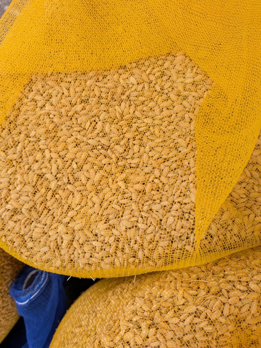 にじのきらめき 種籾 10kg Amazon.co.jp: にじのきらめき 米種子 種籾10kg : DIY・工具・ガーデン