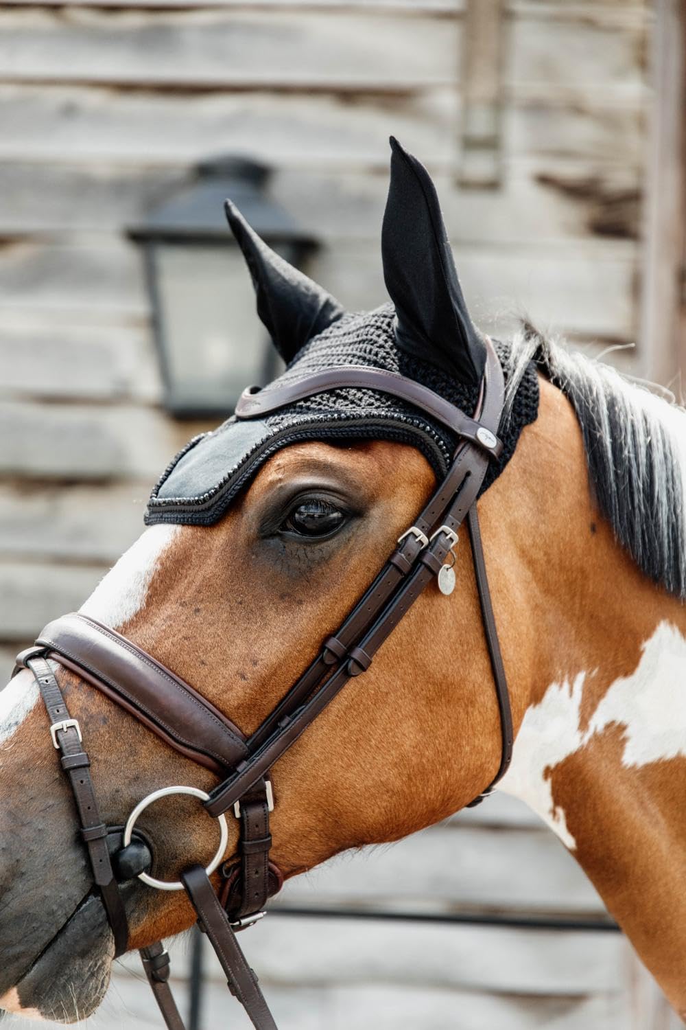 Bonnet Wellington Velvet Pearls - Noir - pour Cheval