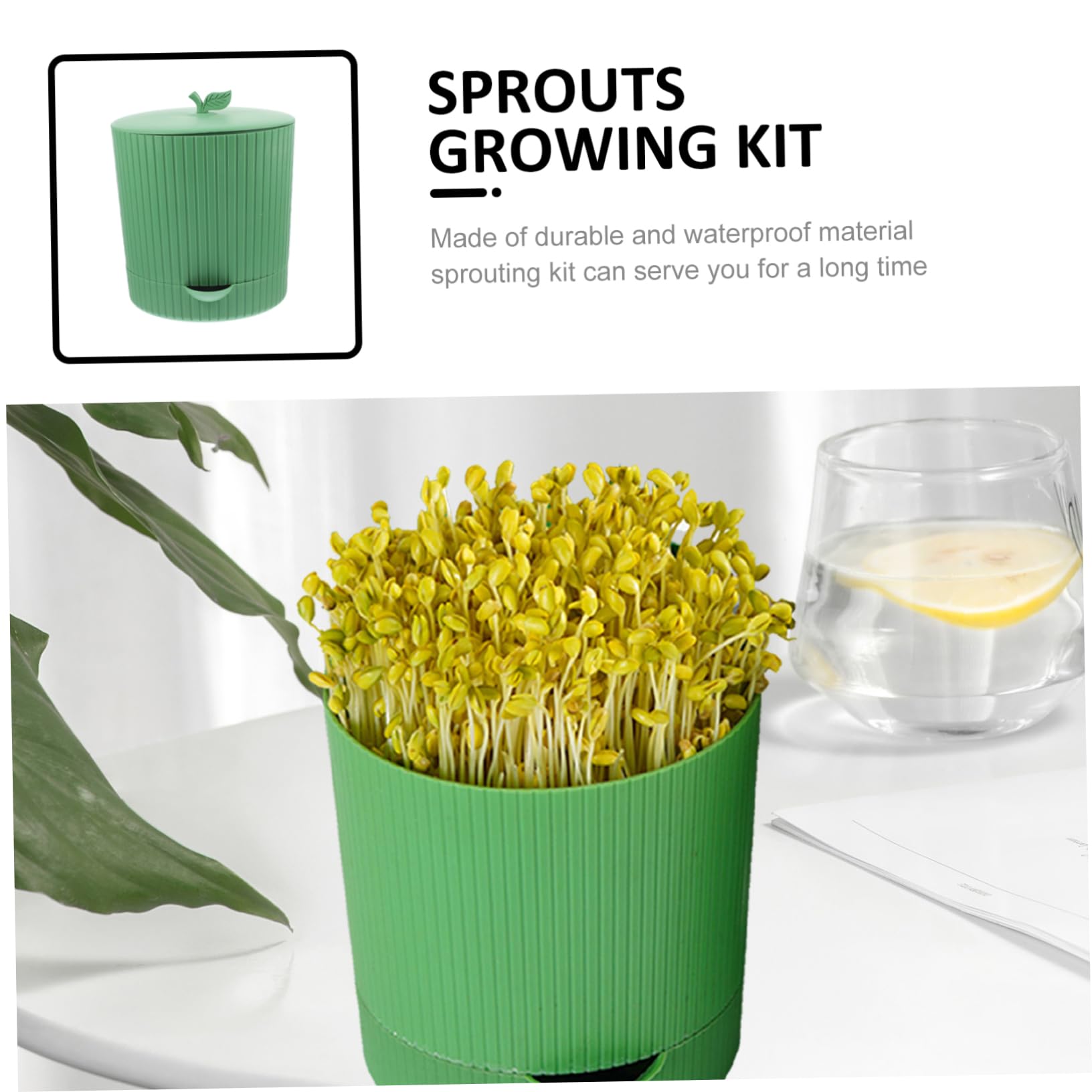 BESPORTBLE Kit de Germination de Graines, Plateau Germoir en PP et Pierre, Réutilisable, Respirant, Évacuation D’Eau, pour Soja et Blé, Restaurant ou Jardin