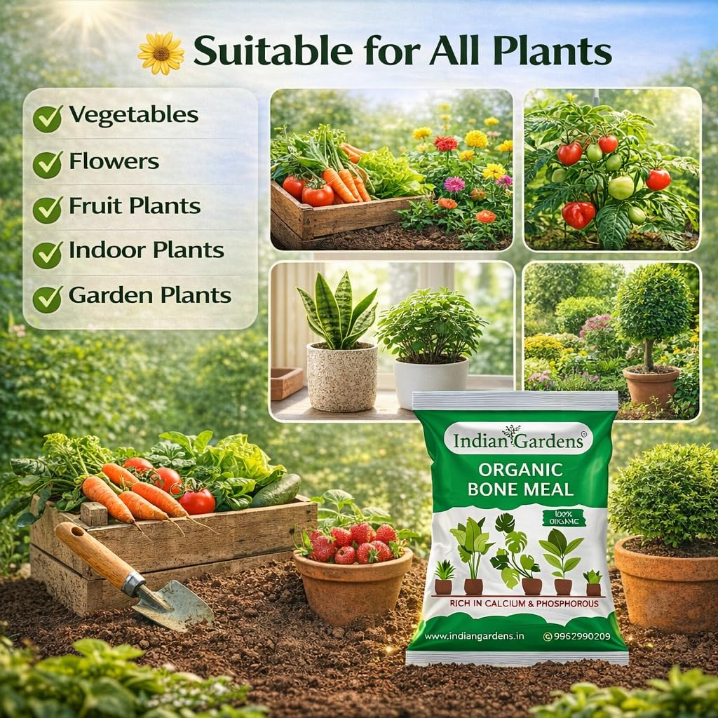 Indian Gardens - Bone Meal Powder 100% Organic Plant fertilizer | Rich in Calcium and Phosphorus | Plant Fertilizer | Home Gardening (500 Grams) 3