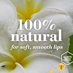 Burt's Bees 100% Baume à lèvres hydratant naturel, pastèque - 1 Tube, 1 Nombre