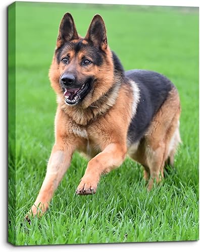 Miniatura 1 de Impresiones fotográficas personalizadas en lienzo  Impresiones en lienzo con tus fotos sobre lienzo, arte de pared para decoración del hogar,