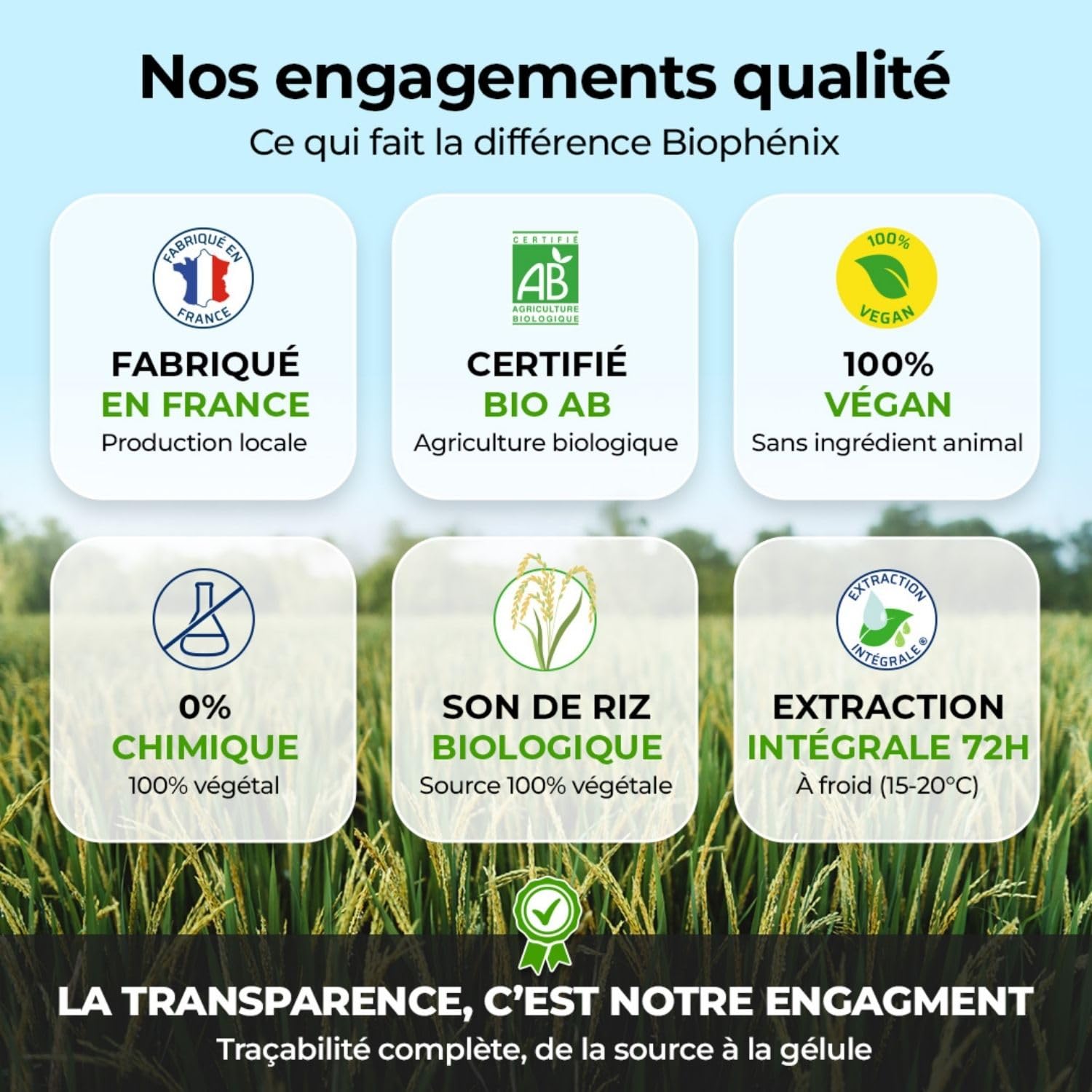 Biophénix - Magnésium Bio 90 Gélules - Procédé Exclusif Extraction Intégrale® - 0% Excipient • 0% Additif • 0% Produit Chimique - Fatigue & Equilibre - Fabriqué en France - Vegan (Lot de 3)