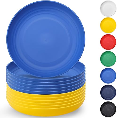 Berglander UKR - Juego de 12 platos de plástico reutilizables y resistentes irrompibles de 9 pulgadas, platos para ensalada, cuencos para pasta,