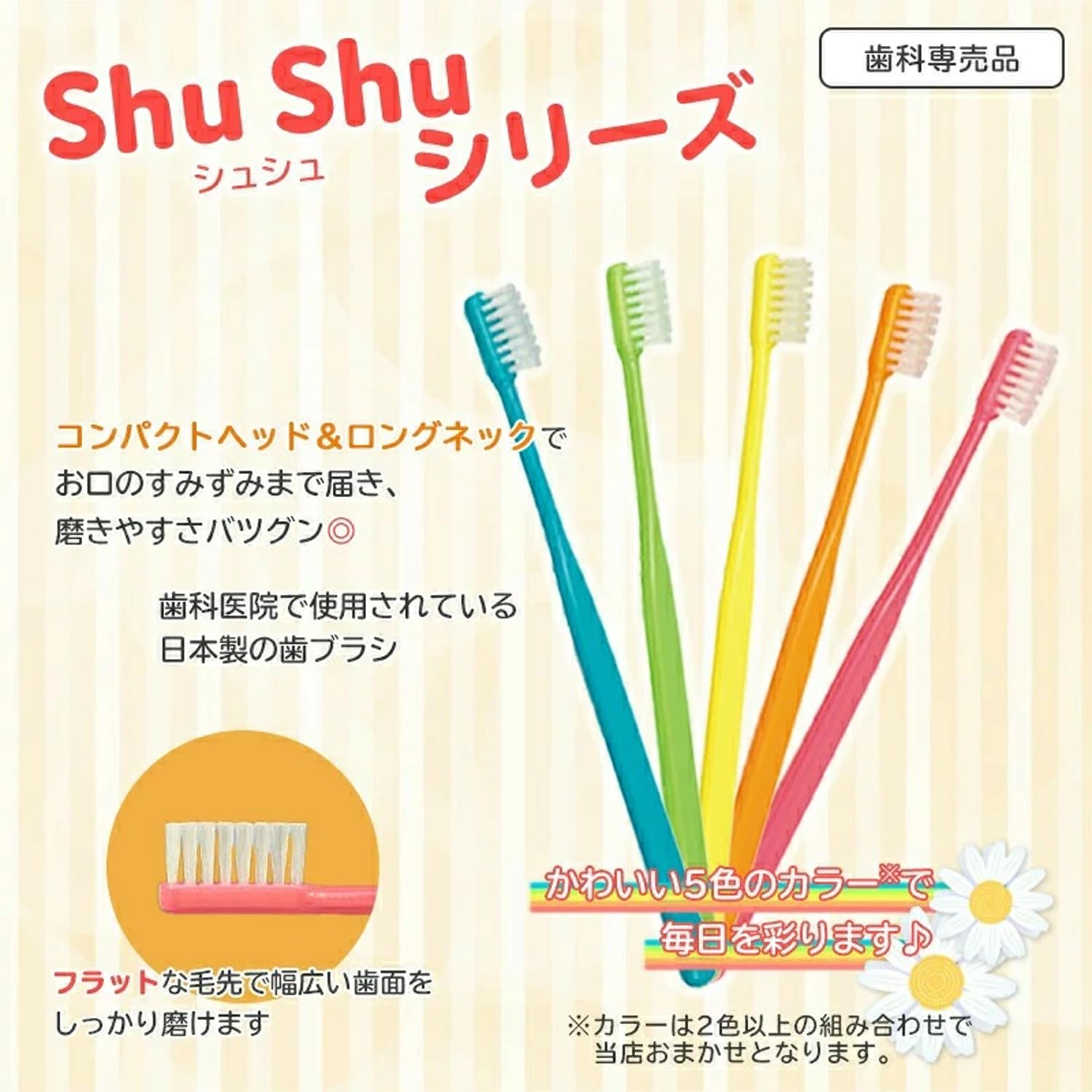 Amazon | [FEED株式会社] 大人用歯ブラシ Shu Shu α(シュシュアルファ