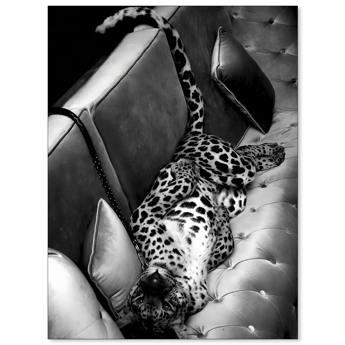 OMANI Panther On The Sofa Poster Cheetah Black and White Photography Wall Art Wildlife Animal Leopard Canvas Prints for Living Room Bedroom Wall Decor