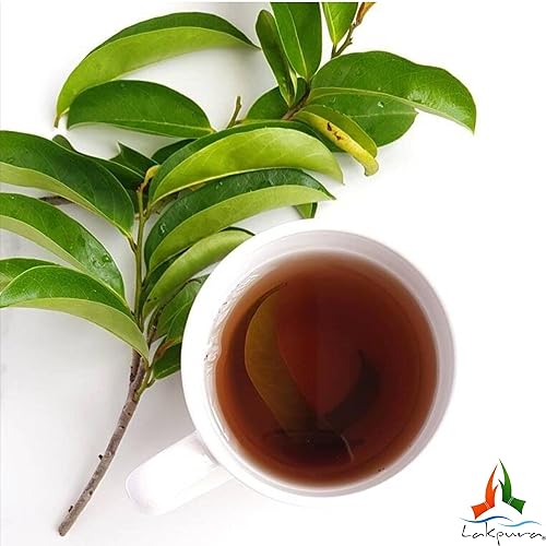 Miniatura 5 de Purelife Herbs® Guanábana silvestre (Guanabana, Graviola, Guyabano) Deshidratada 1000 hojas (± 8.82 oz, ± 8.8 oz)